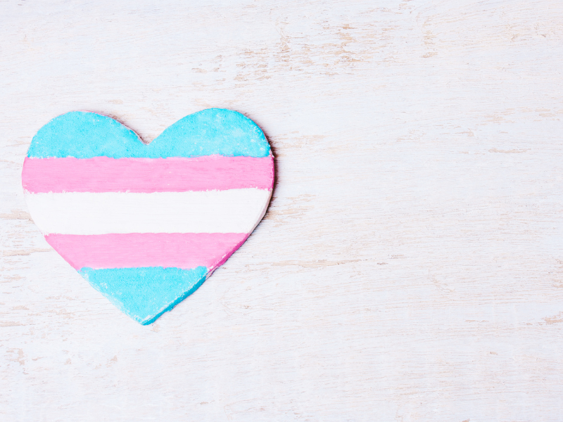 heart with trans pride flag design